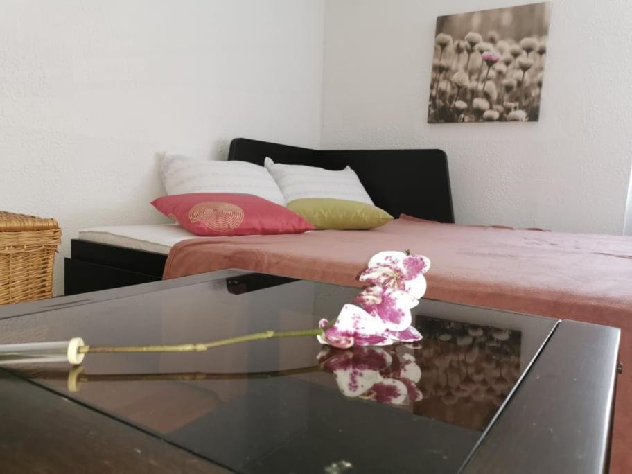 Apartma Lindau เลนดาวา ภายนอก รูปภาพ